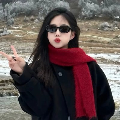 熊出没之雪岭熊风