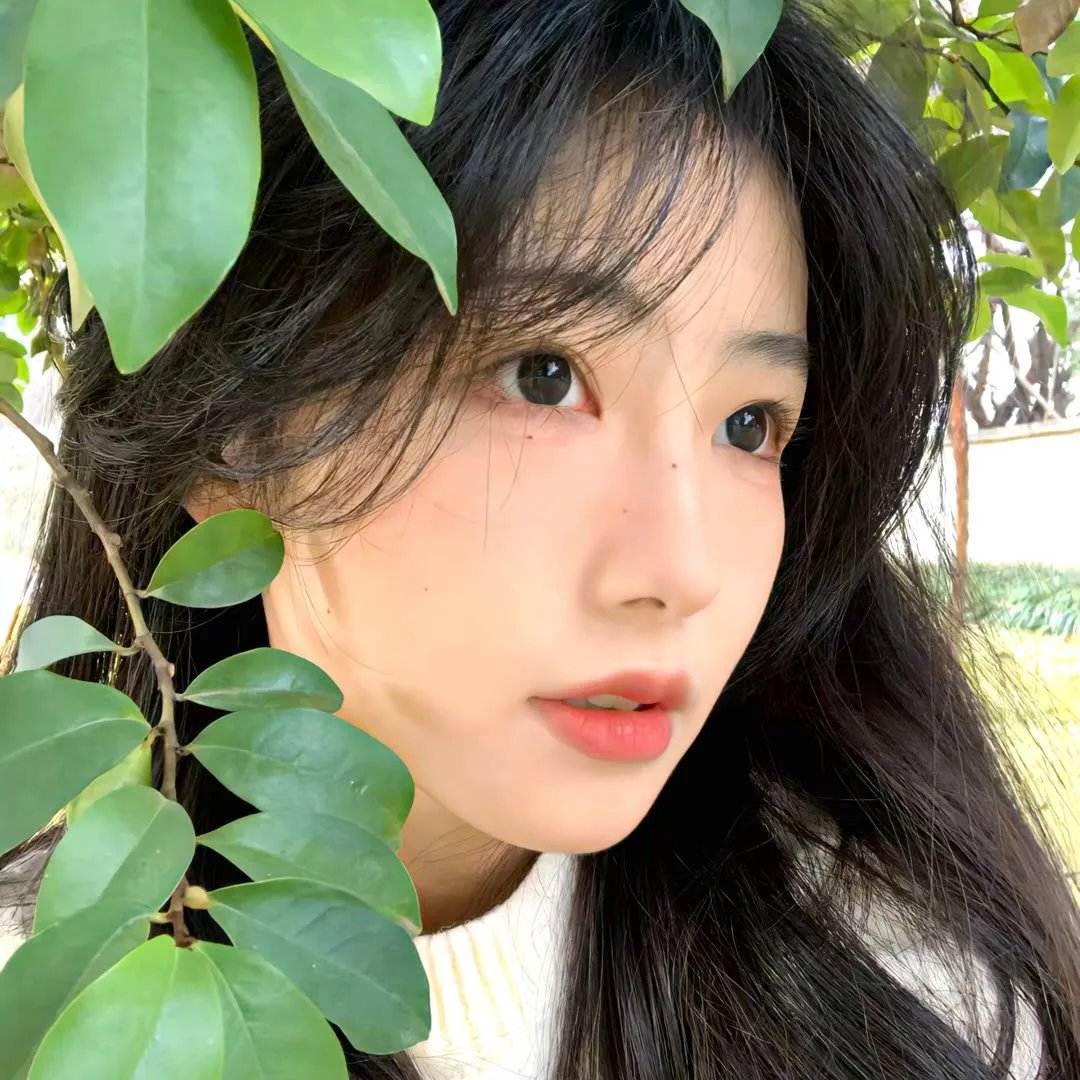 红罂粟